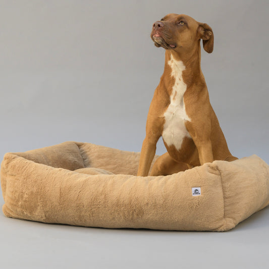Cama Sleep Tech Mascotas